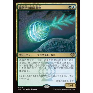 画像: 【日本語版】幾何学の節足動物/Geometer's Arthropod