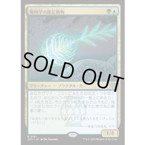 画像: 【Foil】【日本語版】幾何学の節足動物/Geometer's Arthropod