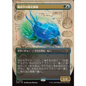 画像: 【日本語版】【ボーダーレス】幾何学の節足動物/Geometer's Arthropod