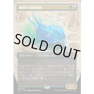 画像: 【Foil】【日本語版】【ボーダーレス】幾何学の節足動物/Geometer's Arthropod