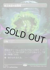 画像: 【Foil】【日本語版】【ボーダーレス】死天狗茸の林間地/Deathcap Glade