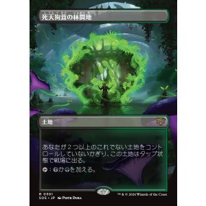 画像: 【日本語版】【ボーダーレス】死天狗茸の林間地/Deathcap Glade