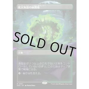 画像: 【Foil】【日本語版】【ボーダーレス】死天狗茸の林間地/Deathcap Glade