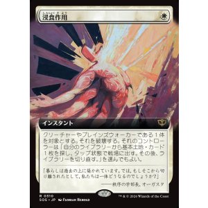 画像: 【日本語版】【拡張枠】浸食作用/Erode