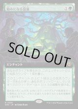 画像: 【Foil】【日本語版】【拡張枠】励みになる協議/Comforting Counsel