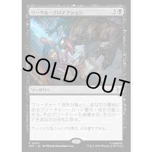 画像: 【日本語版】リーサル・プロテクション/Lethal Protection