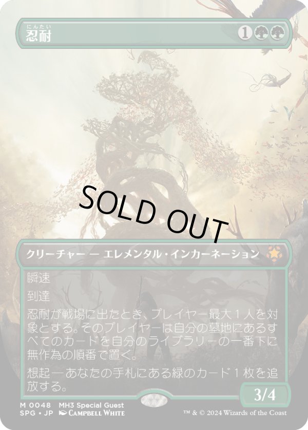 画像1: 【日本語版】忍耐/Endurance (1)