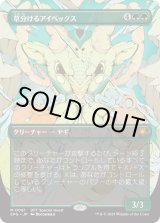 画像: 【日本語版】草分けるアイベックス/Pathbreaker Ibex