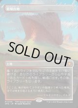 画像: 【Foil】【ボーダーレス】【日本語版】乾燥台地/Arid Mesa