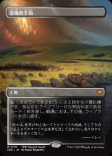 画像: 【ボーダーレス】【日本語版】湿地の干潟/Marsh Flats