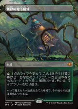 画像: 【ボーダーレス】【日本語版】新緑の地下墓地/Verdant Catacombs