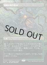 画像: 【Foil】【ボーダーレス】【日本語版】新緑の地下墓地/Verdant Catacombs