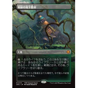 画像: 【ボーダーレス】【日本語版】新緑の地下墓地/Verdant Catacombs