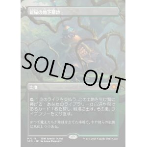 画像: 【Foil】【ボーダーレス】【日本語版】新緑の地下墓地/Verdant Catacombs