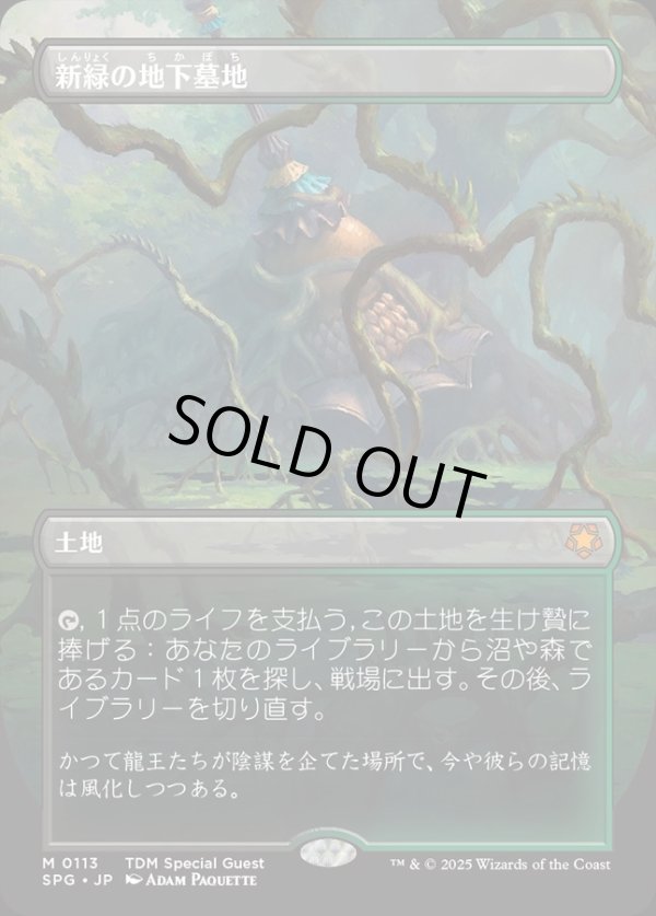 画像1: 【Foil】【ボーダーレス】【日本語版】新緑の地下墓地/Verdant Catacombs (1)