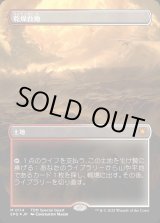 画像: 【ドラゴンスケイルFoil】【日本語版】乾燥台地/Arid Mesa
