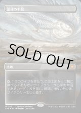 画像: 【ドラゴンスケイルFoil】【日本語版】湿地の干潟/Marsh Flats
