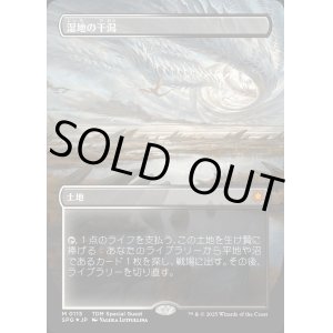 画像: 【ドラゴンスケイルFoil】【日本語版】湿地の干潟/Marsh Flats