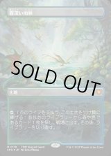 画像: 【ドラゴンスケイルFoil】【日本語版】霧深い雨林/Misty Rainforest