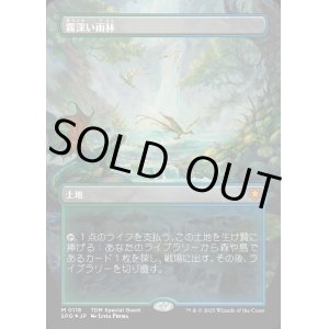 画像: 【ドラゴンスケイルFoil】【日本語版】霧深い雨林/Misty Rainforest