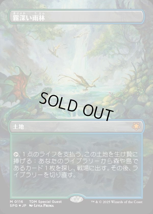 画像1: 【ドラゴンスケイルFoil】【日本語版】霧深い雨林/Misty Rainforest (1)