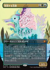 画像: 【日本語版】発現する浅瀬/Risen Reef