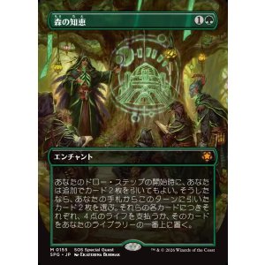 画像: 【日本語版】【ボーダーレス】森の知恵/Sylvan Library