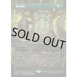 画像: 【Foil】【日本語版】【ボーダーレス】森の知恵/Sylvan Library
