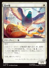 画像: 【日本語版】街の鳩/City Pigeon