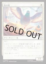 画像: 【Foil】【日本語版】街の鳩/City Pigeon