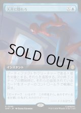 画像: 【拡張枠】【日本語版】天井に隠れろ/Hide on the Ceiling