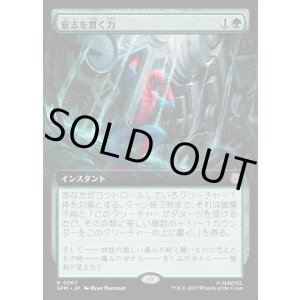 画像: 【Foil】【拡張枠】【日本語版】意志を貫く力/Strength of Will