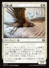 画像: 【日本語版】大嵐の鷹/Tempest Hawk