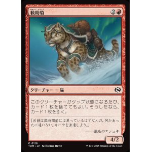 画像: 【日本語版】救助豹/Rescue Leopard