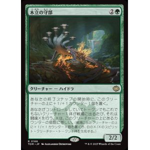 画像: 【日本語版】木立の守部/Warden of the Grove
