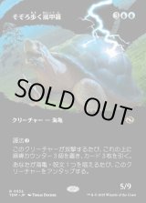画像: 【Foil】【氏族ショーケース】【日本語版】そぞろ歩く嵐甲羅/Ambling Stormshell