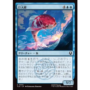 画像: 【日本語版】巨大鯉/Giant Koi