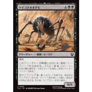 画像: 【日本語版】ケイコクオオグモ/Canyon Crawler