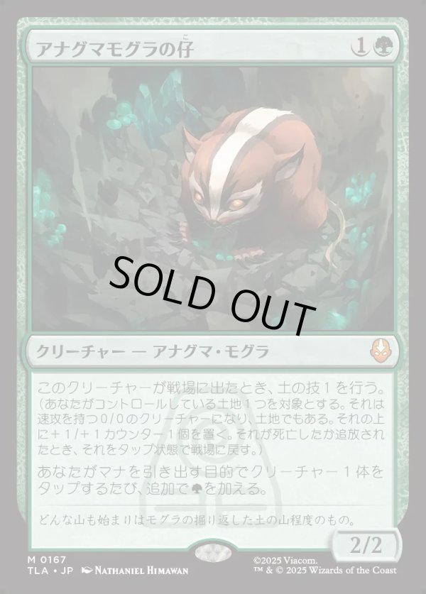 画像1: 【日本語版】アナグマモグラの仔/Badgermole Cub (1)