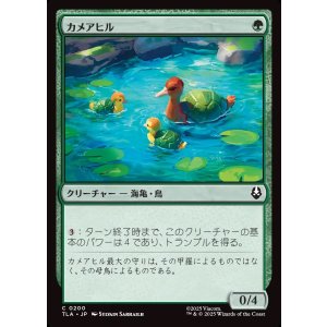 画像: 【日本語版】カメアヒル/Turtle-Duck