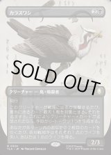 画像: 【ボーダーレス・実地調査】【日本語版】カラスワシ/Raven Eagle