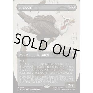 画像: 【ボーダーレス・実地調査】【日本語版】カラスワシ/Raven Eagle