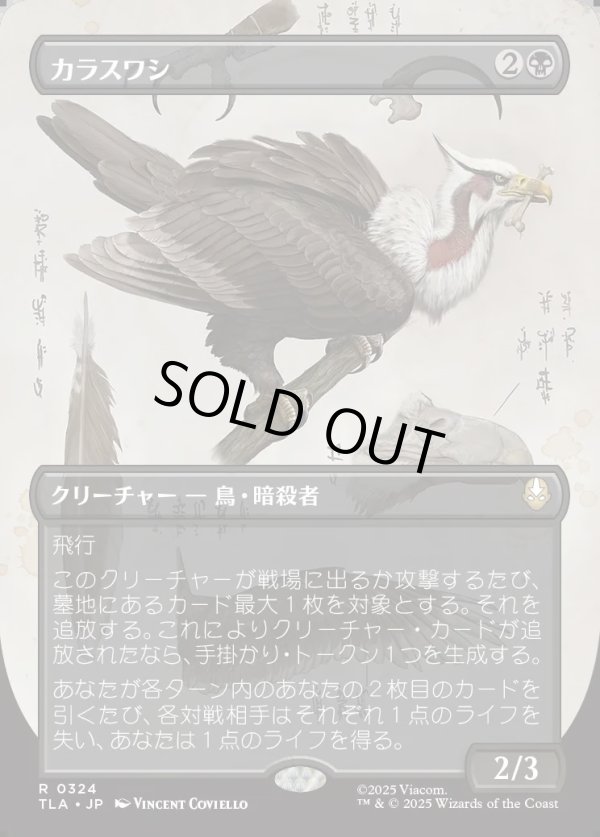 画像1: 【ボーダーレス・実地調査】【日本語版】カラスワシ/Raven Eagle (1)