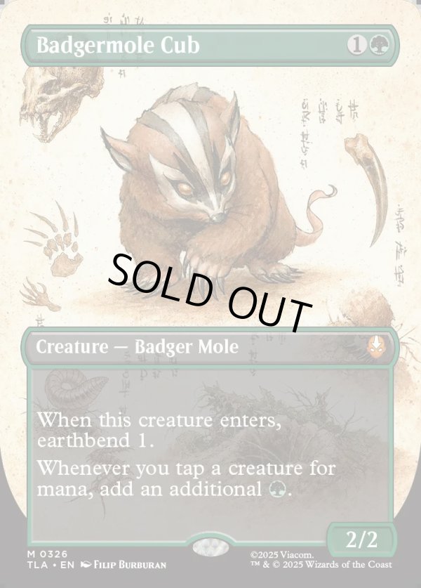 画像1: 『Foil』『ボーダーレス・実地調査』『英語版』アナグマモグラの仔/Badgermole Cub (1)