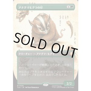 画像: 【Foil】【ボーダーレス・実地調査】【日本語版】アナグマモグラの仔/Badgermole Cub