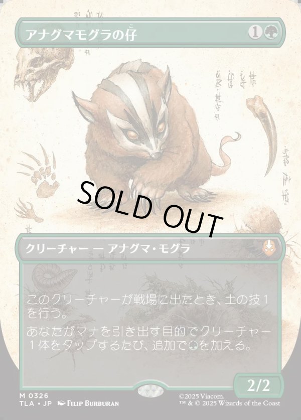 画像1: 【Foil】【ボーダーレス・実地調査】【日本語版】アナグマモグラの仔/Badgermole Cub (1)