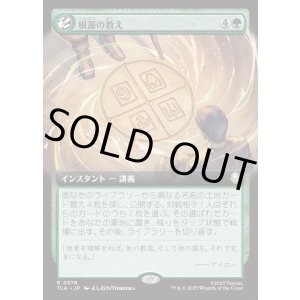 画像: 【拡張枠】【日本語版】根源の教え/Elemental Teachings