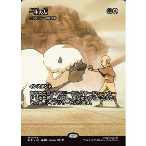 画像: 【Foil】【フルアート】【日本語版】【一生の友】エラダムリーの呼び声/Eladamri's Call