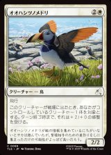 画像: 【日本語版】オオハシツノメドリ/Toucan-Puffin