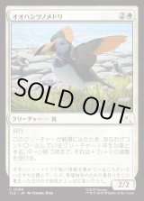 画像: 【Foil】【日本語版】オオハシツノメドリ/Toucan-Puffin